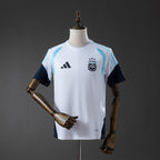 Argentina 2026 Training Fan