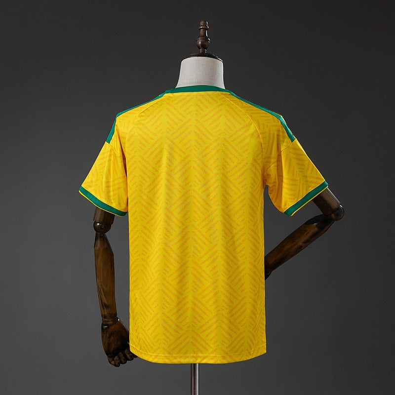 South Africa 2026 Home Fan