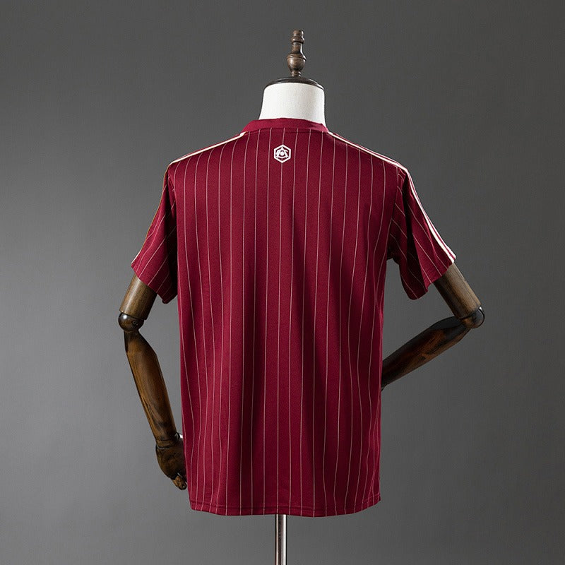 Arsenal 2025-2026 Special Edition Fan