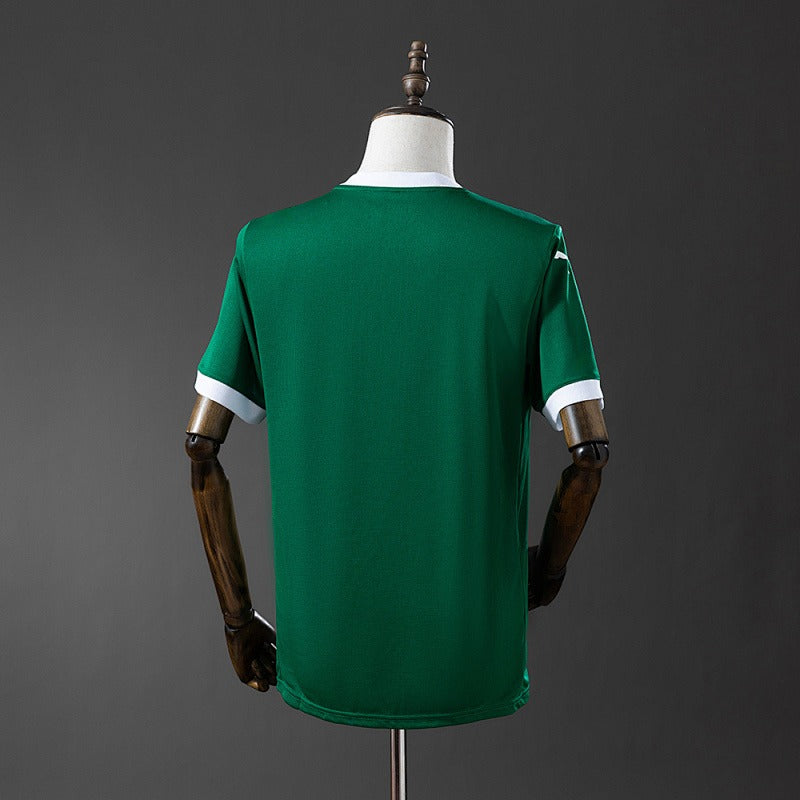 Palmeiras 2025-2026 Home Fan